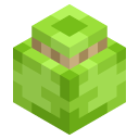 Lime Bundle Model