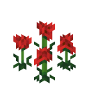 Семена мака