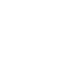 Dense Net